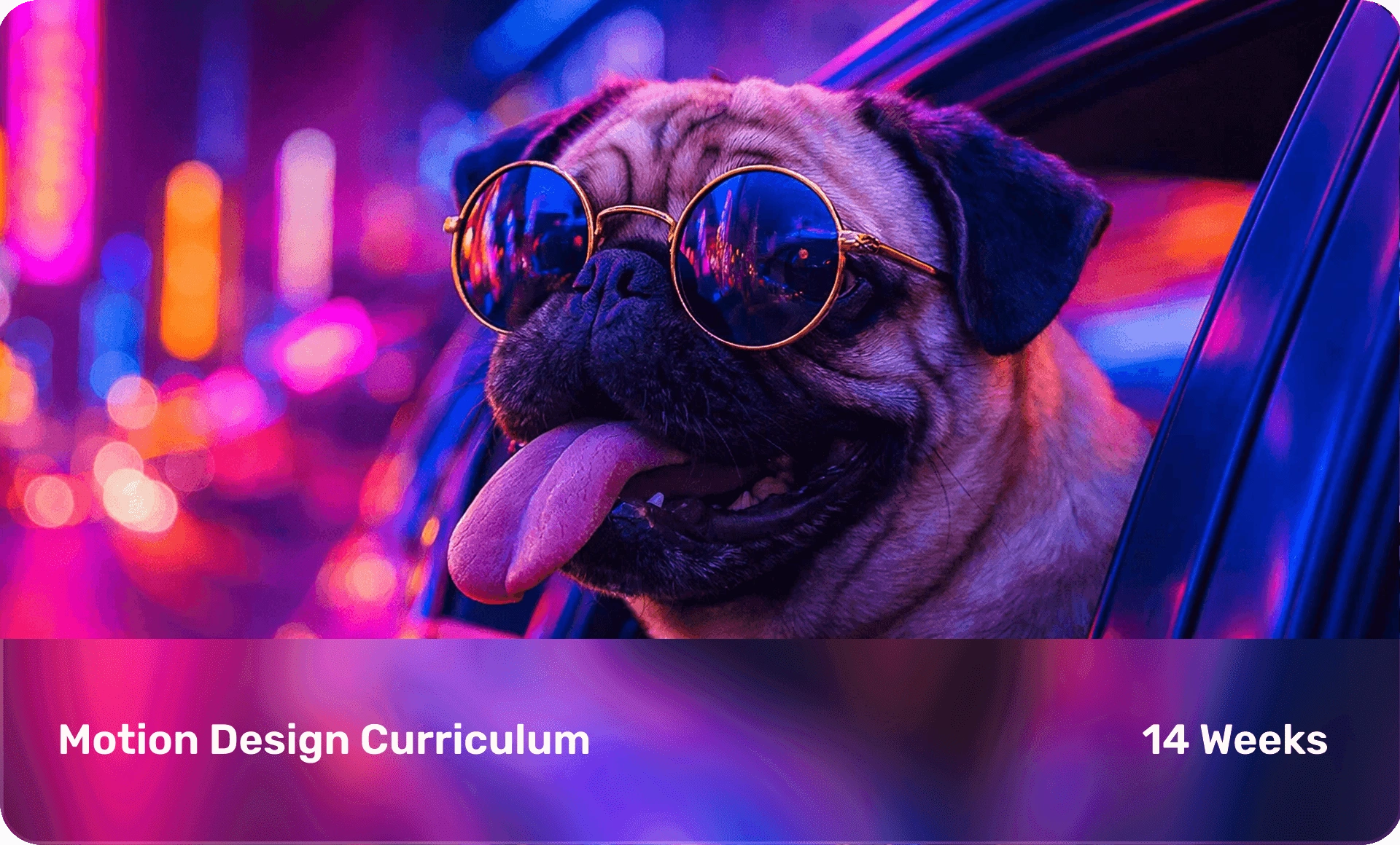 Graphic Design classes in Pune with Motion Graphics training