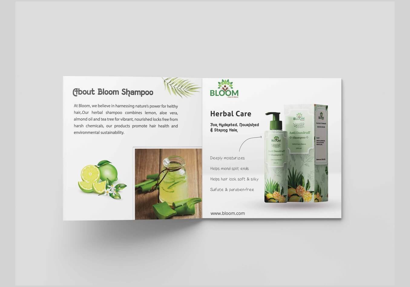 Graphic design classes in Pune