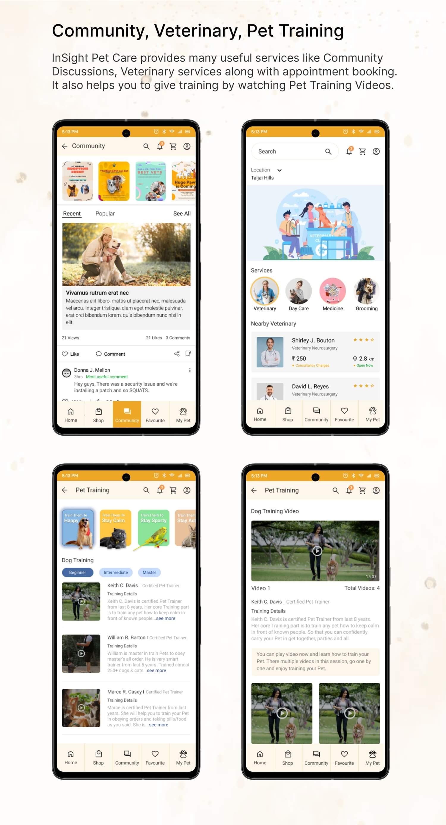 UI UX institute in Pune