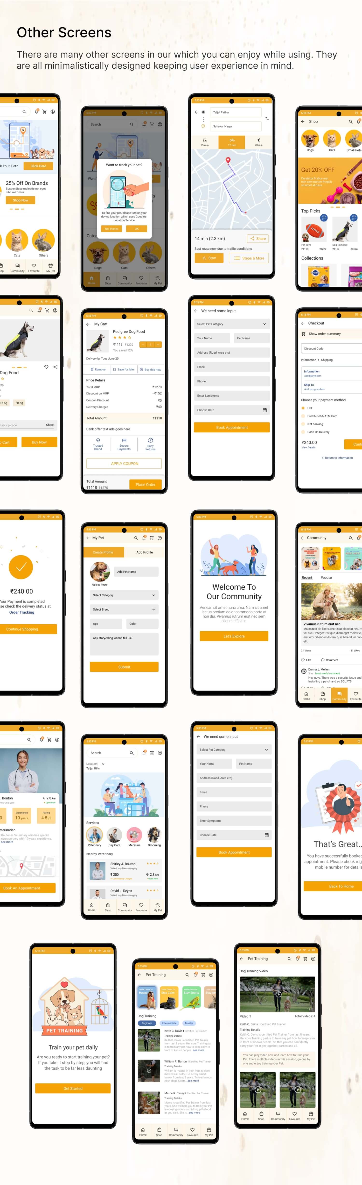 UI UX institute in Pune
